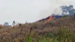 2 Hektare Lahan Kaki Gunung Guntur Garut Terbakar, Diduga akibat Kelalaian Pengunjung