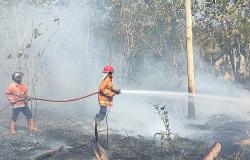 Kebakaran di Gunungkidul Melonjak, 2 Bulan Ada 11 Lahan Terbakar