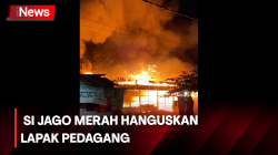 Si Jago Merah Hanguskan 4 Lapak di Makassar, Sulawesi Selatan<
