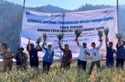 BI-IPB Sukses Kembangkan Bawang Putih Varietas Tawangmangu Super, Hasil Rekayasa Genetika<