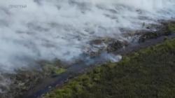 Hutan Produksi di Pulang Pisau Ludes Terbakar, Pemadaman Terkendala Sumber Air