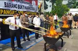 Polres Lima Puluh Kota Musnahkan Barang Bukti Ganja 54,1 Kilogram