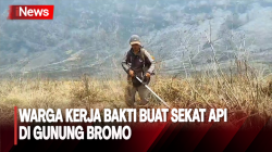 Cegah Kebakaran, Puluhan Warga 3 Kabupaten Buat Sekat Api di Gunung Bromo