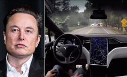 Elon Musk Nyaris Celaka saat Uji Coba Teknologi Otonom, Insinyur Diusir