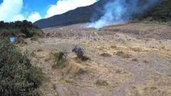 Alan-alun Suryakencana Gunung Gede Pangrango Cianjur Terbakar
