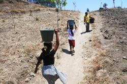 Perjuangan Warga Situbondo Jalan Kaki 2 Kilometer Ambil Air Bersih