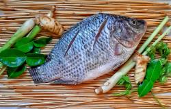 Tragis! Perempuan Ini Kehilangan 4 Tangan dan Kaki usai Makan Ikan Nila Terkontaminasi Bakteri