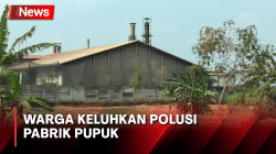 Cerita Warga yang Rumahnya Dipenuhi Debu Hitam Polusi Pabrik Pupuk di Demak