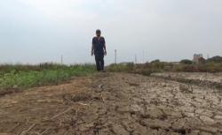 Dampak El Nino, Suhu di Sejumlah Wilayah Indonesia Capai 35-37 Derajat Celsius