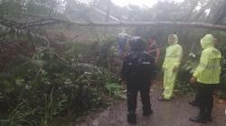 Material Longsor Tutupi Jalan di Nias Selatan, Pengendara Tak Bisa Melintas