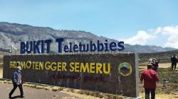Kerugian Kebakaran Gunung Bromo gegara Flare Pasangan Prewedding Capai Rp5,4 Miliar<