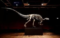 Kerangka Dinosaurus dari 150 Juta Tahun Lalu Bakal Dilelang di Paris, Segini Taksiran Harganya