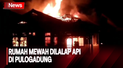 Rumah Mewah di Pulogadung Terbakar, 14 Mobil Damkar Dikerahkan