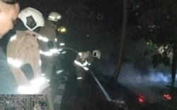 Kebakaran Landa Hutan Kota Ujung Menteng Jaktim, Damkar: Ada yang Bakar Sampah Lalu Ditinggal<