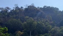 Kebakaran di Gunung Jayanti Sukabumi Berhasil Dipadamkan