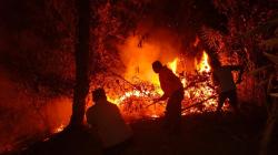 Kasus Kebakaran Meningkat, Diskar PB Kota Bandung Minta Warga Waspada