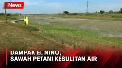 Petani Kesulitan Air, Ratusan Embung Kering Terdampak El Nino di Bojonegoro