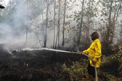 Karhutla di Kalteng, BNPB Catat 379,76 Hektare Lahan Terbakar sejak Awal Tahun<
