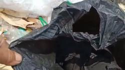 Jambi Geger, Mayat Bayi Ditemukan Pemulung di Pembuangan Sampah