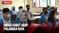 Imbas Kabut Asap, Sekolah di Palangka Raya Undur Jam Masuk hingga Tiadakan Kegiatan Luar Kelas <