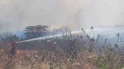Lahan BIJB Kertajati Majalengka Terbakar, Petugas Damkar Berjibaku Padamkan Api