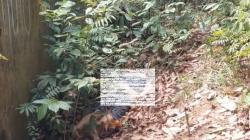 Ini Identitas Mayat Perempuan Diduga Dibunuh di Samping Kolam Buaya Berau Kaltim
