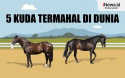 Infografis 5 Kuda Termahal di Dunia