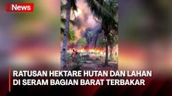 Karhutla di Seram Bagian Barat, Ratusan Hektare Hutan dan Lahan Warga Ludes
