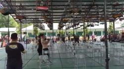 Kontes Seru, Ratusan Pencinta Burung Kicau Perebutkan Piala Dandim 1014 Pangkalan Bun<