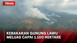 Kebakaran Meluas Capai 1.100 Hektare, BNPB Siapkan Helikopter Water Bombing di Gunung Lawu