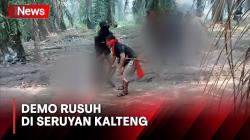 Bentrok Warga dan Polisi di Kebun Sawit Seruyan, 1 Warga Tewas Tertembak