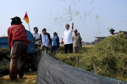 Presiden Jokowi bersama Plt Mentan Tinjau Panen Padi di Subang