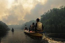 Kebakaran Laboratorium Alam Hutan Gambut Cimtrop Palangkaraya<