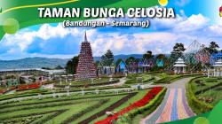 Taman Bunga Celosia Semarang, Harga Tiket hingga Jam Operasional