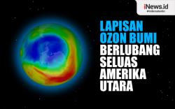 Infografis Lapisan Ozon Bumi Berlubang Seluas Amerika Utara