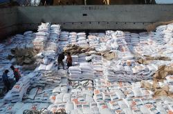 3 Juta Ton Beras Impor Tiba di RI, Partai Perindo Harap Bisa Penuhi Kebutuhan dan Turunkan Harga Pangan