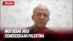  MUI Desak Dunia Internasional Akui Kemerdekaan Palestina untuk Wujudkan Perdamaian