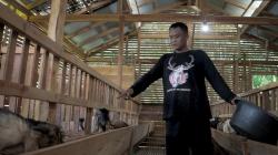  Kisah Polisi di Pemalang Ternak Kambing Perah, Hasil Produksinya Diburu Pabrik Ternama
