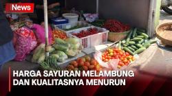 Harga Sayuran dan Cabai di Sleman Melambung, Warga Terpaksa Tetap Beli karena Butuh
