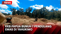Kembali Berulah KKB Bunuh 7 Pendulang Emas di Yahukimo, 45 Orang Berhasil Dievakuasi