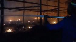 Kandang Ayam di Probolinggo Ludes Terbakar, Ribuan Ternak Mati Terpanggang