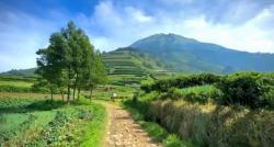 Kampung Unik di Magelang, Ada Desa Terpencil di Dataran Tinggi Suasananya seperti di Luar Negeri 