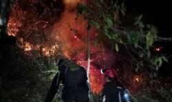 Gunung Arjuno Kembali Terbakar, Titik Api Muncul di Blok Garotan Ledug