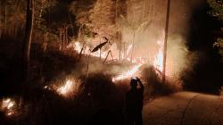 Lahan Terbakar Gunung Papandayan Garut Capai 150 Hektare, Api Masih Berkobar