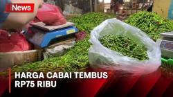 Merangkak Naik, Harga Cabai Tembus Rp75.000 per Kg di Sukabumi<