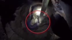 Evakuasi Dramatis Kerbau Jatuh ke Sumur Tua di Bukittinggi, Pemilik Ikut Terjun <