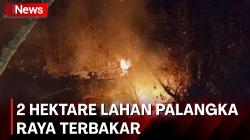 2 Hektare Lahan di Palangka Raya Terbakar, Tim Gabungan Terkendala Akses 