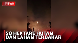 Kebakaran Hutan dan Lahan di Kampung Negeri Baru Mencapai 50 Hektare 