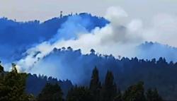Kebakaran Gunung Merbabu Tersebar di 5 Dusun, Petugas Gabungan Berjibaku Padamkan Api<