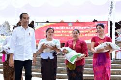 Jokowi Perluas Penerima Bansos Beras 10 Kg, Naik 8 Persen Tahun Depan